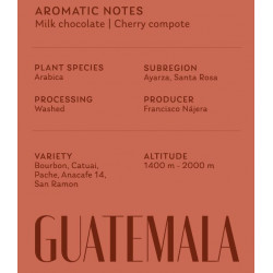 SELEZIONE GUATEMALA 250 g beans