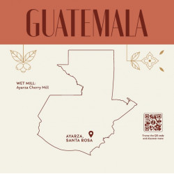 SELEZIONE GUATEMALA 250 g beans