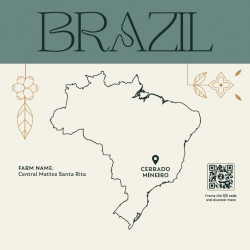 SELEZIONE BRAZIL 250g beans